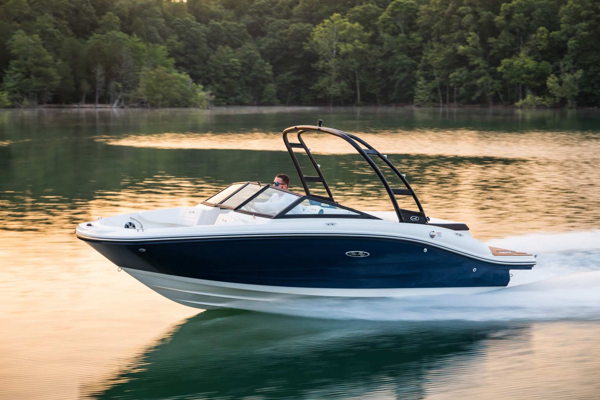 2021 SEA RAY SPX 190